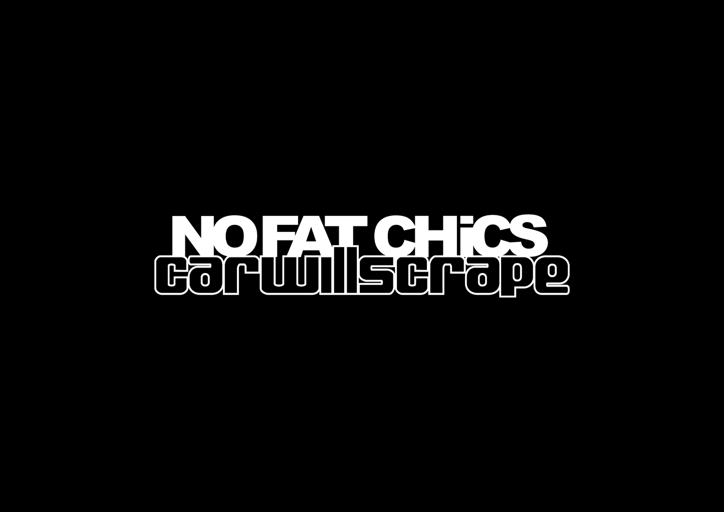Sticker - NO FAT CHICS