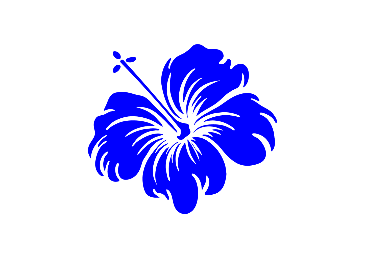 Sticker - HIBISCUS FLOWER