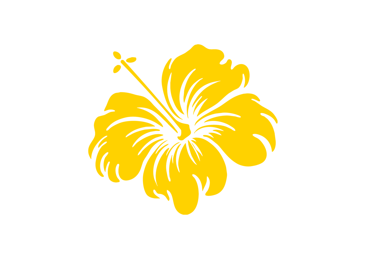 Sticker - HIBISCUS FLOWER