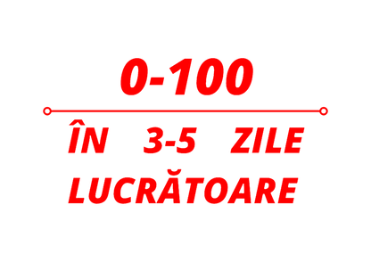 Sticker - 0-100 IN 3-5 ZILE LUCRATOARE