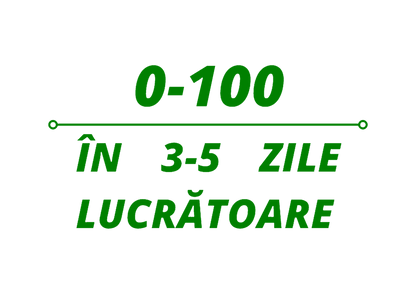 Sticker - 0-100 IN 3-5 ZILE LUCRATOARE