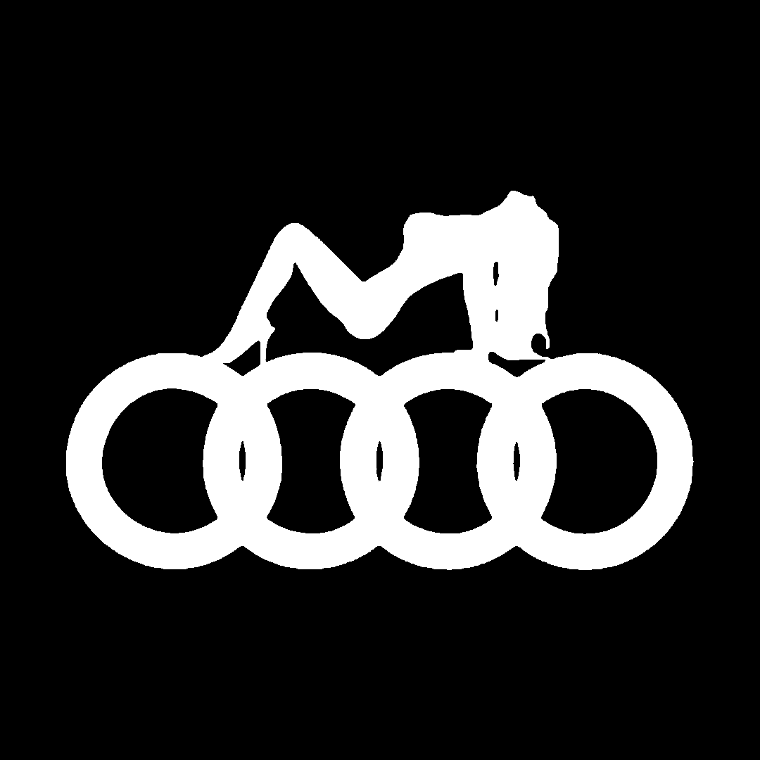 Sticker - AUDI GIRL