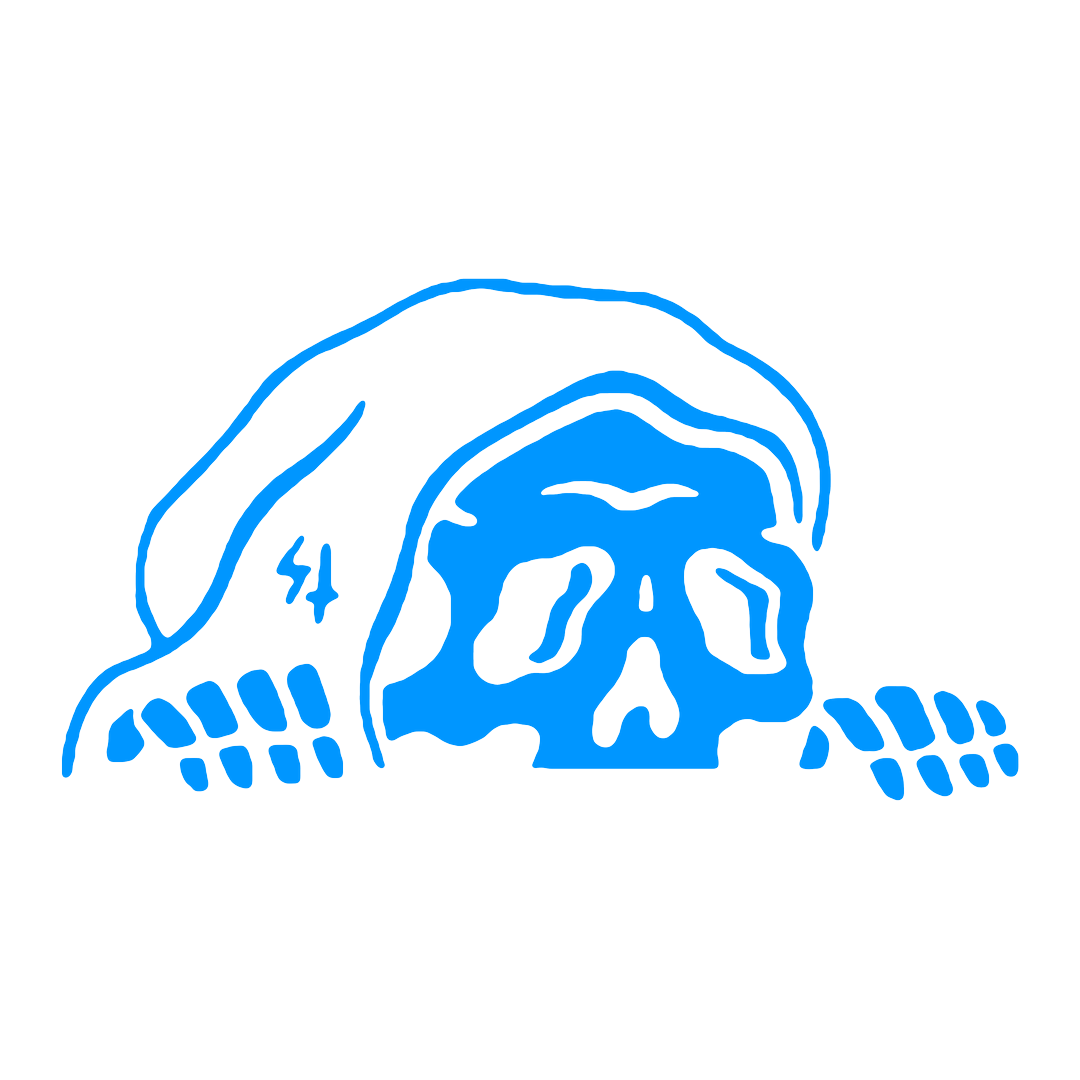 Sticker - DEATH SKULL