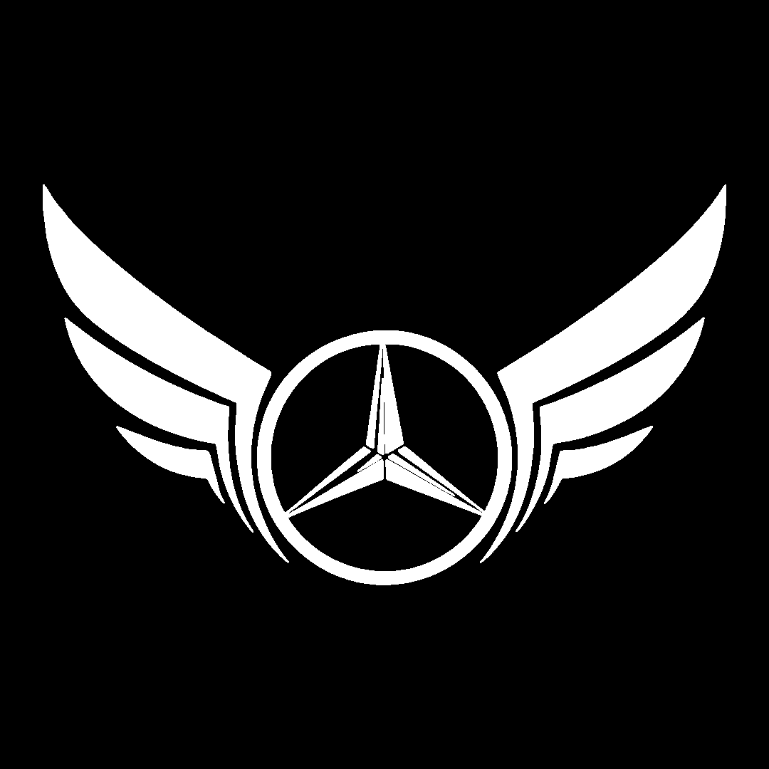 Sticker - MERCEDES WINGS