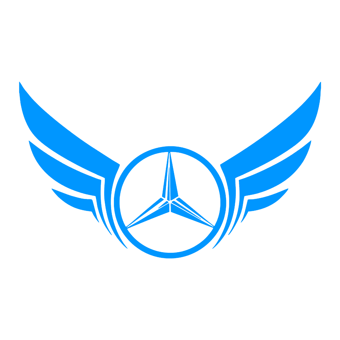 Sticker - MERCEDES WINGS