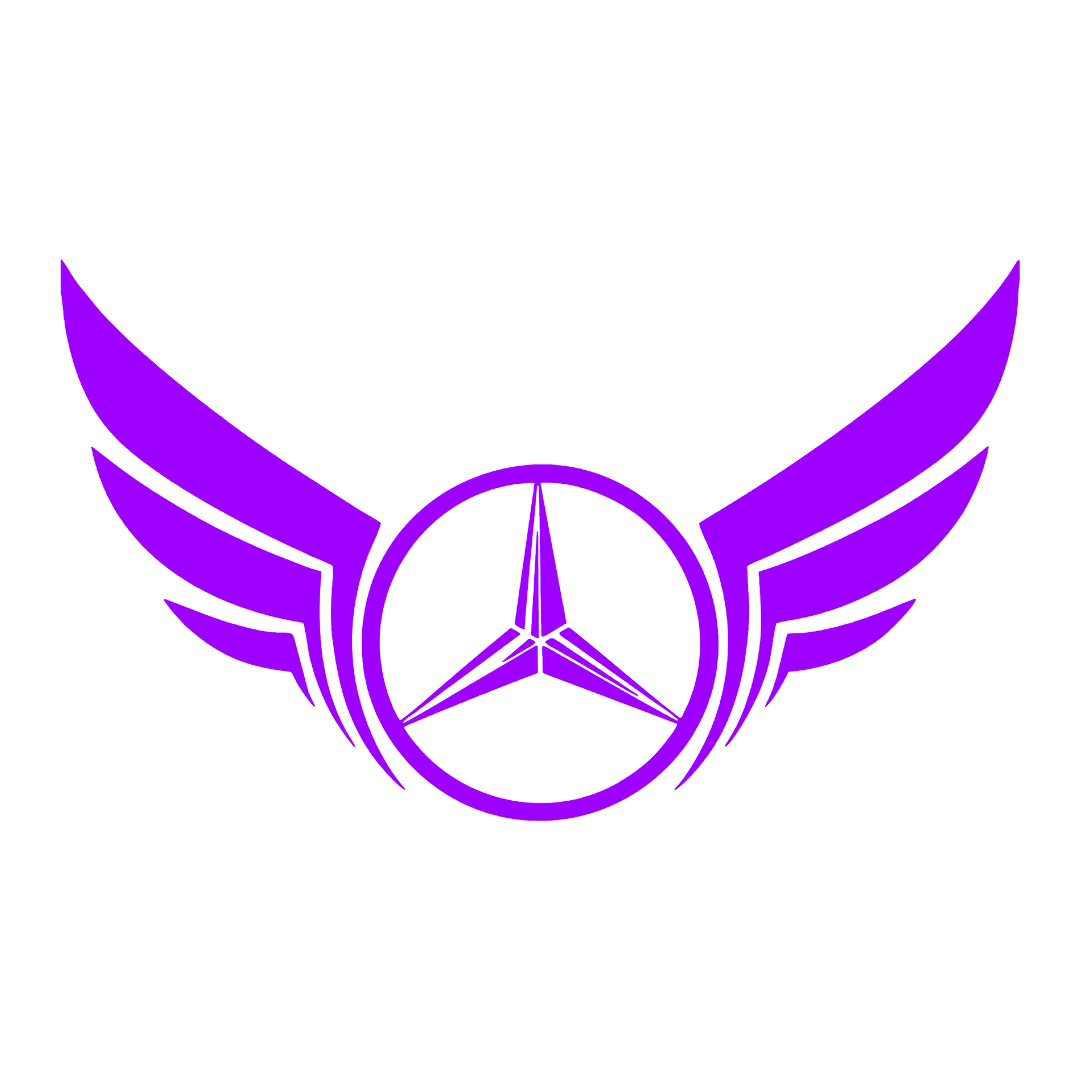 Sticker - MERCEDES WINGS
