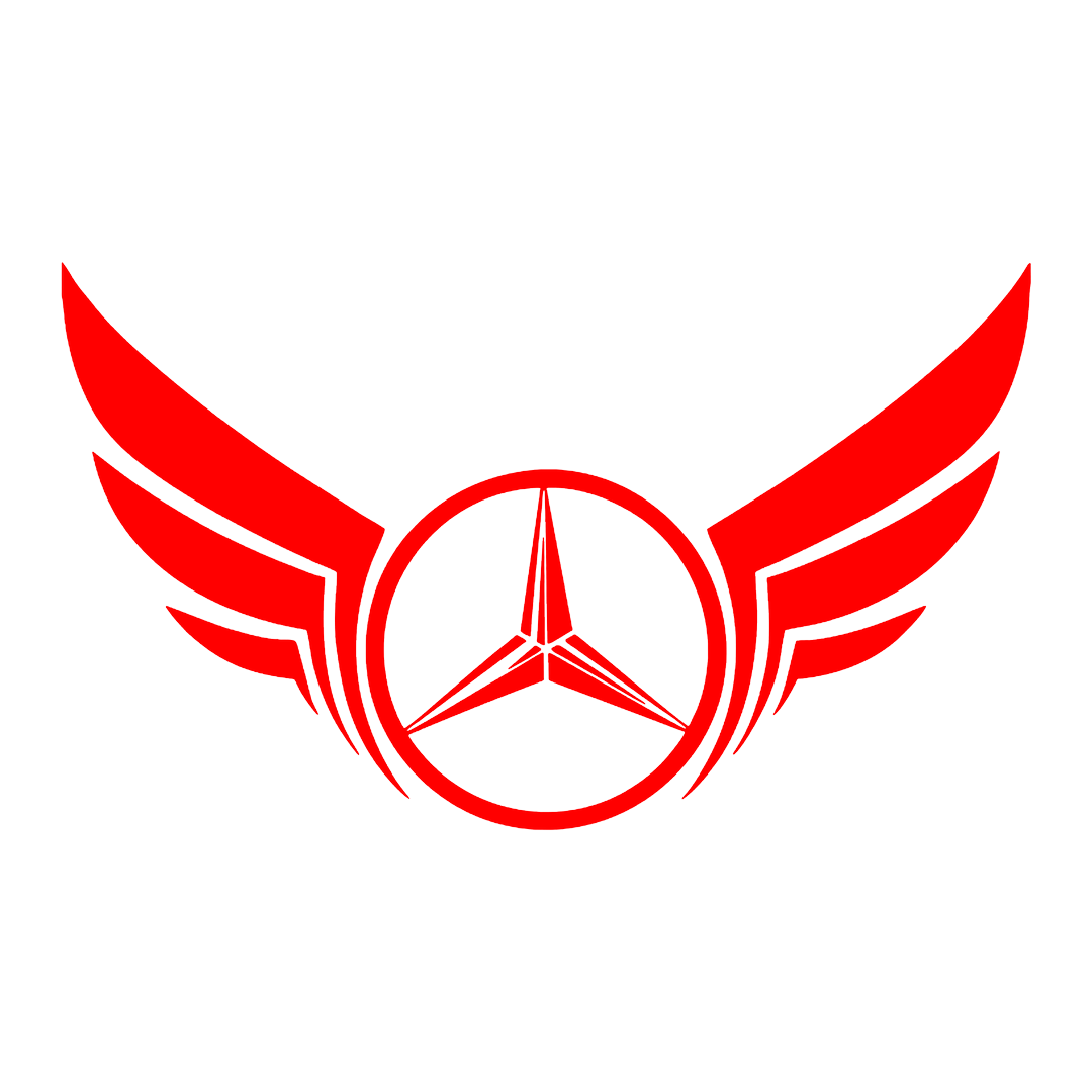 Sticker - MERCEDES WINGS