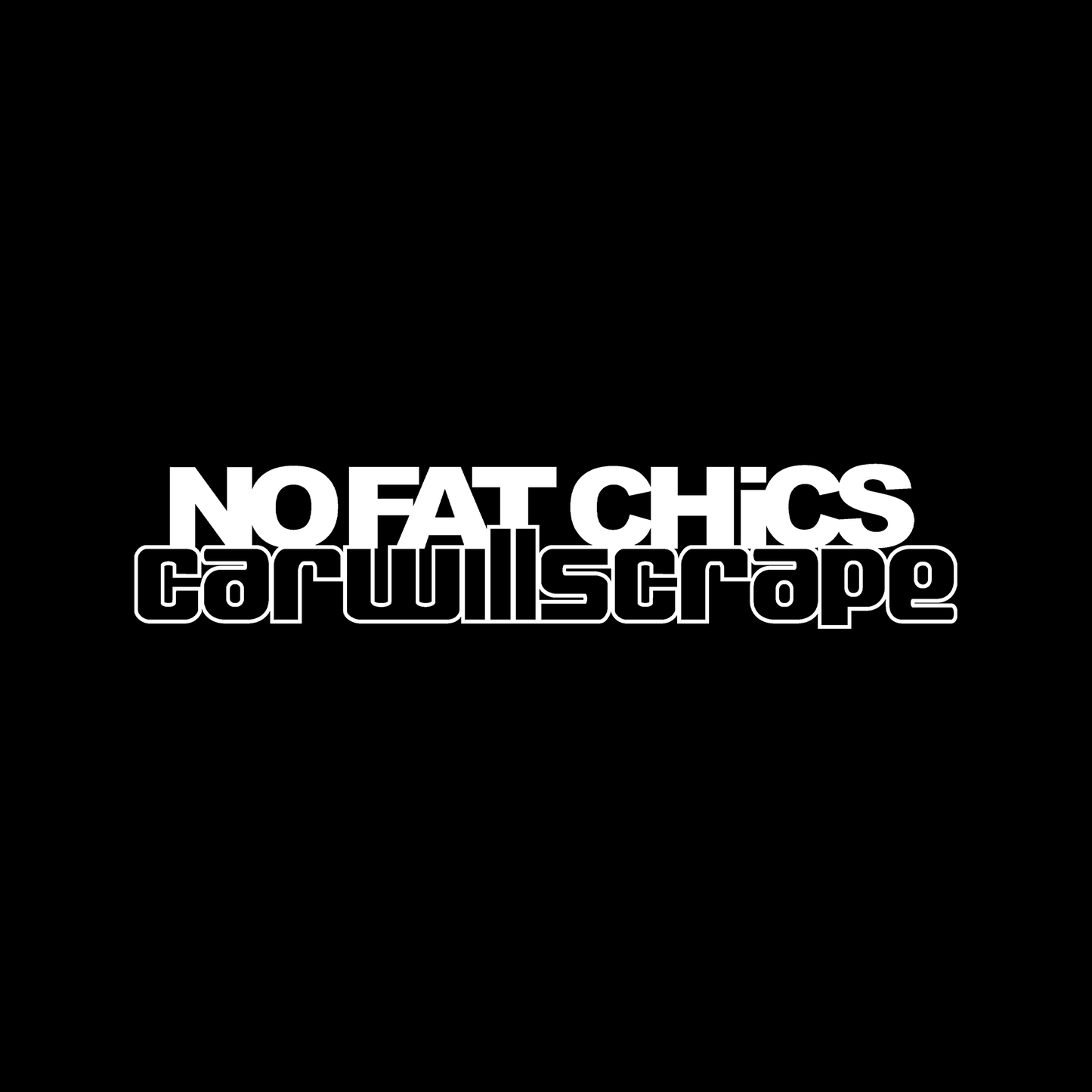 Sticker - NO FAT CHICS