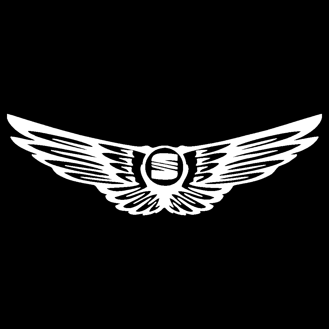 Sticker - SEAT WINGS