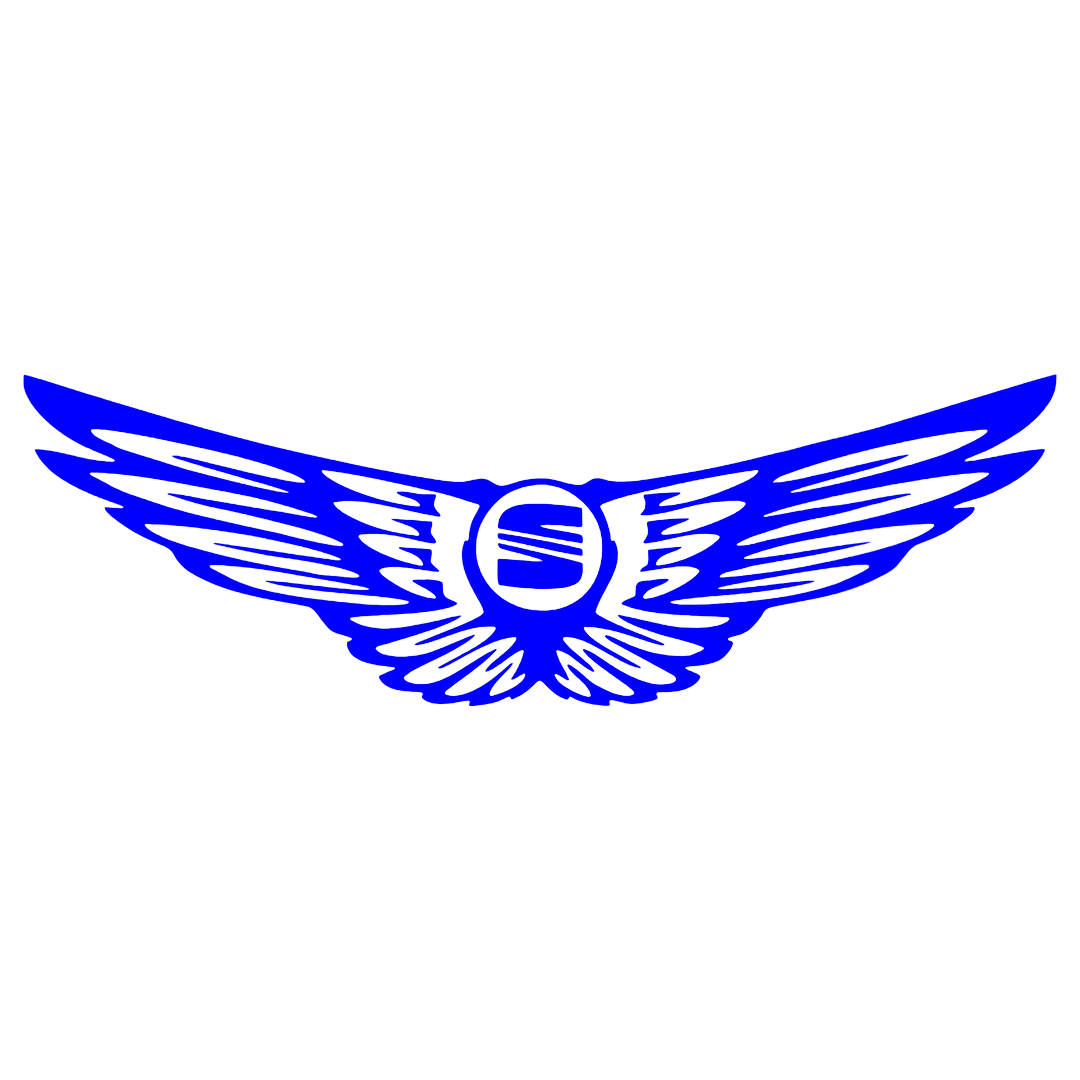 Sticker - SEAT WINGS