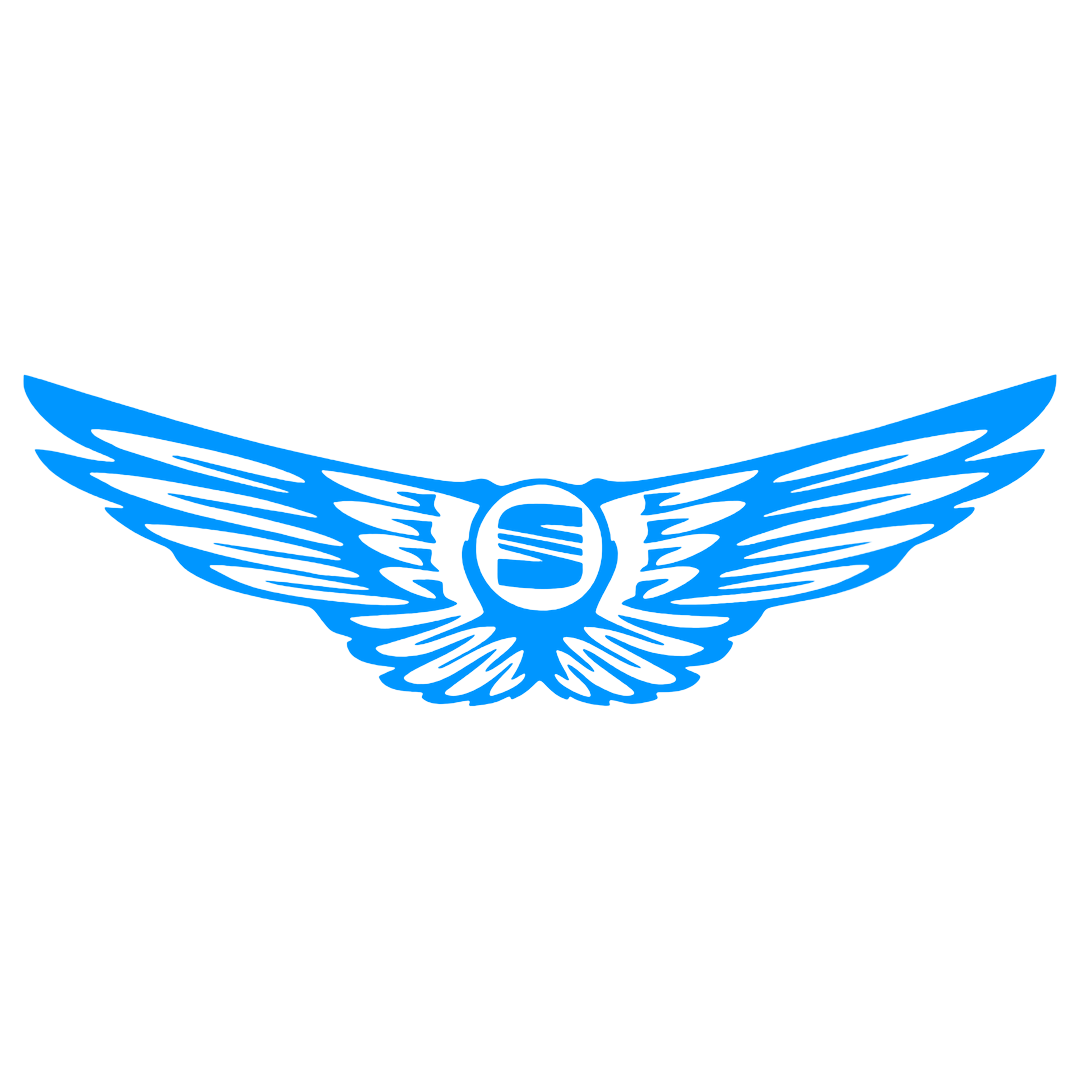 Sticker - SEAT WINGS