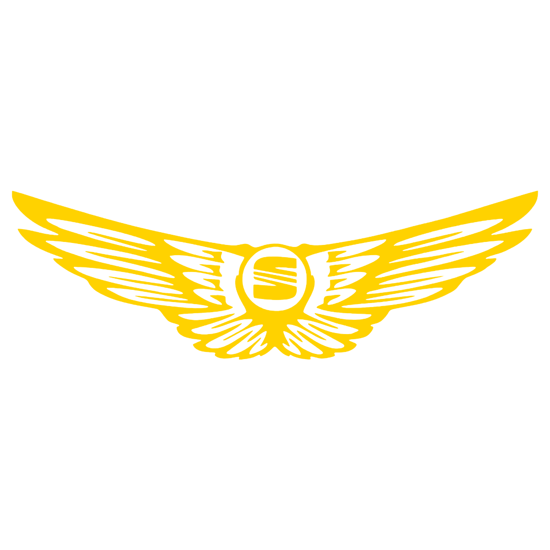 Sticker - SEAT WINGS