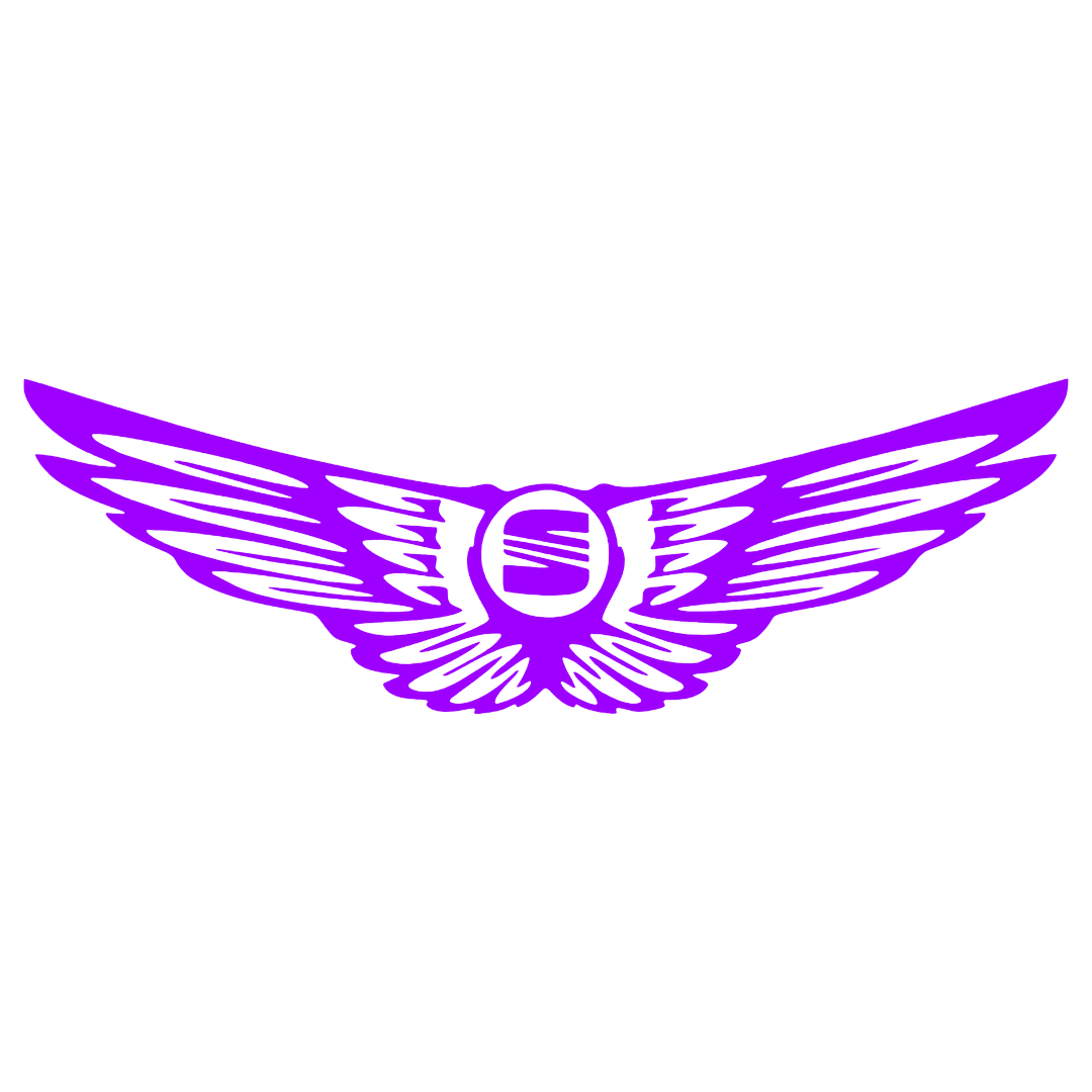 Sticker - SEAT WINGS