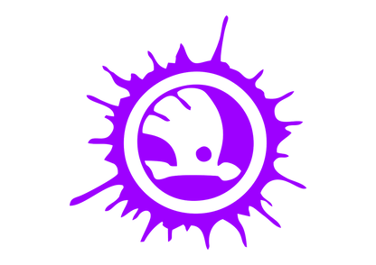 Sticker - SKODA SPLASH 2