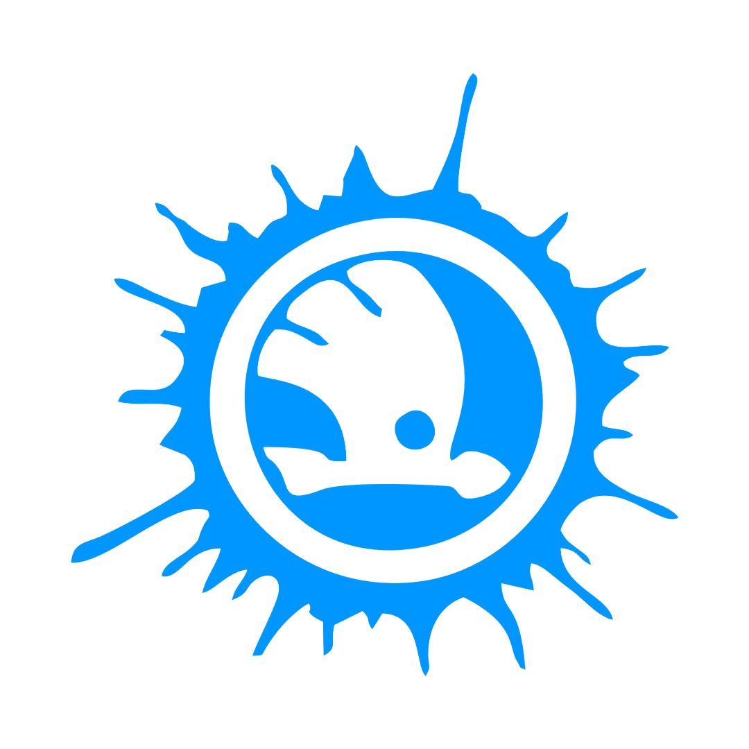 Sticker - SKODA SPLASH 2