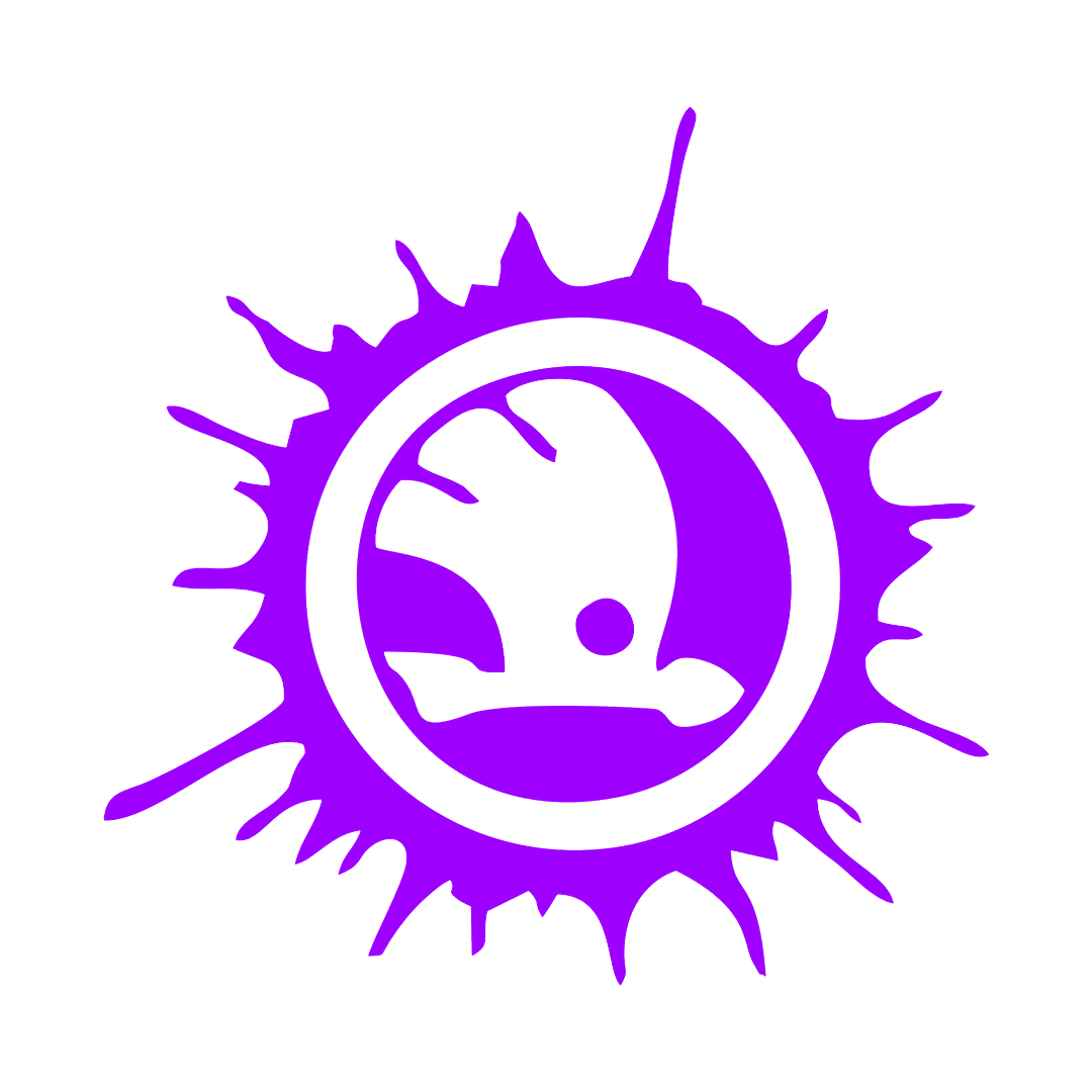 Sticker - SKODA SPLASH 2