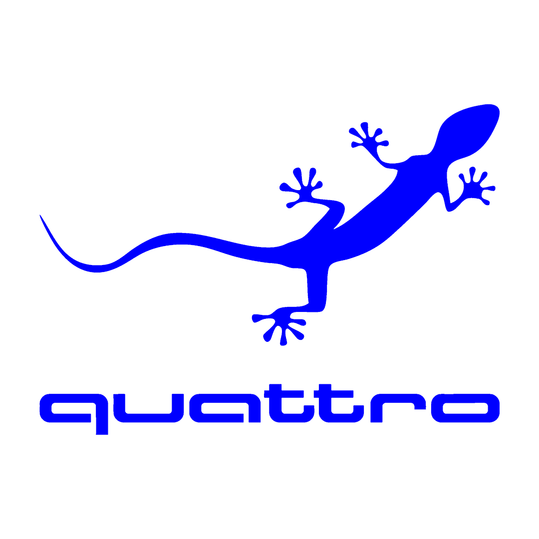Sticker - AUDI QUATTRO 2
