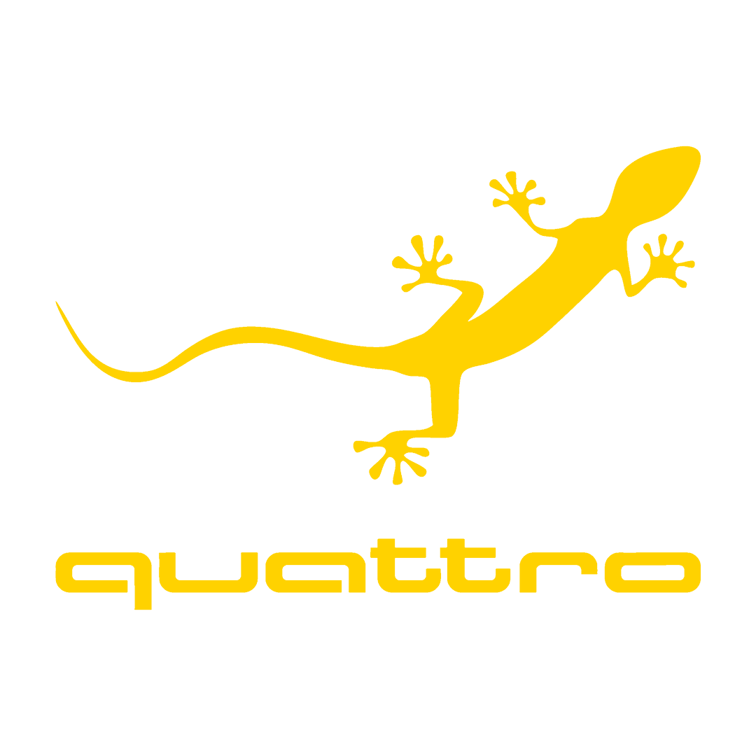Sticker - AUDI QUATTRO 2