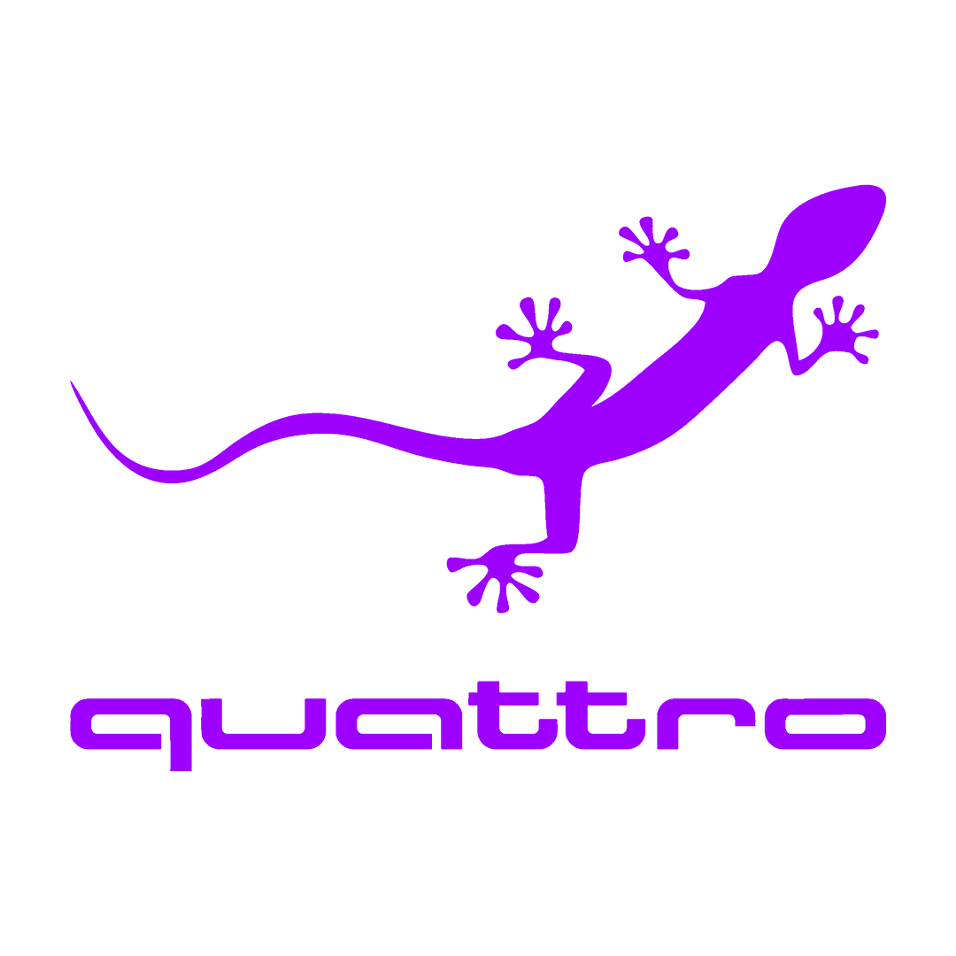 Sticker - AUDI QUATTRO 2