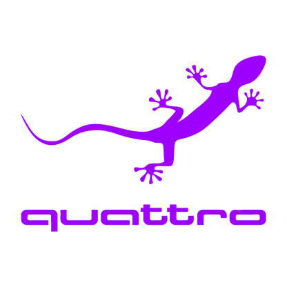 Sticker - AUDI QUATTRO 2