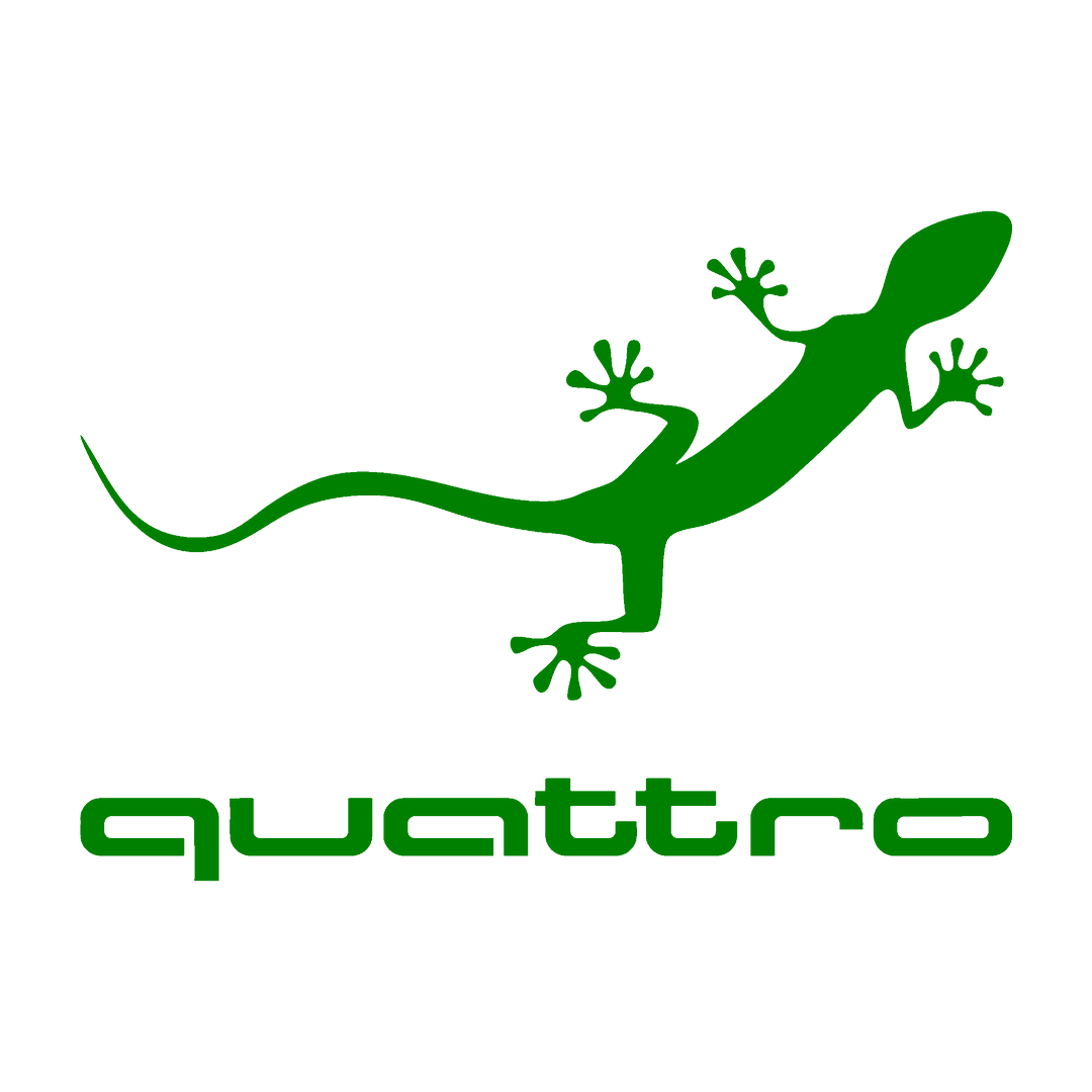 Sticker - AUDI QUATTRO 2