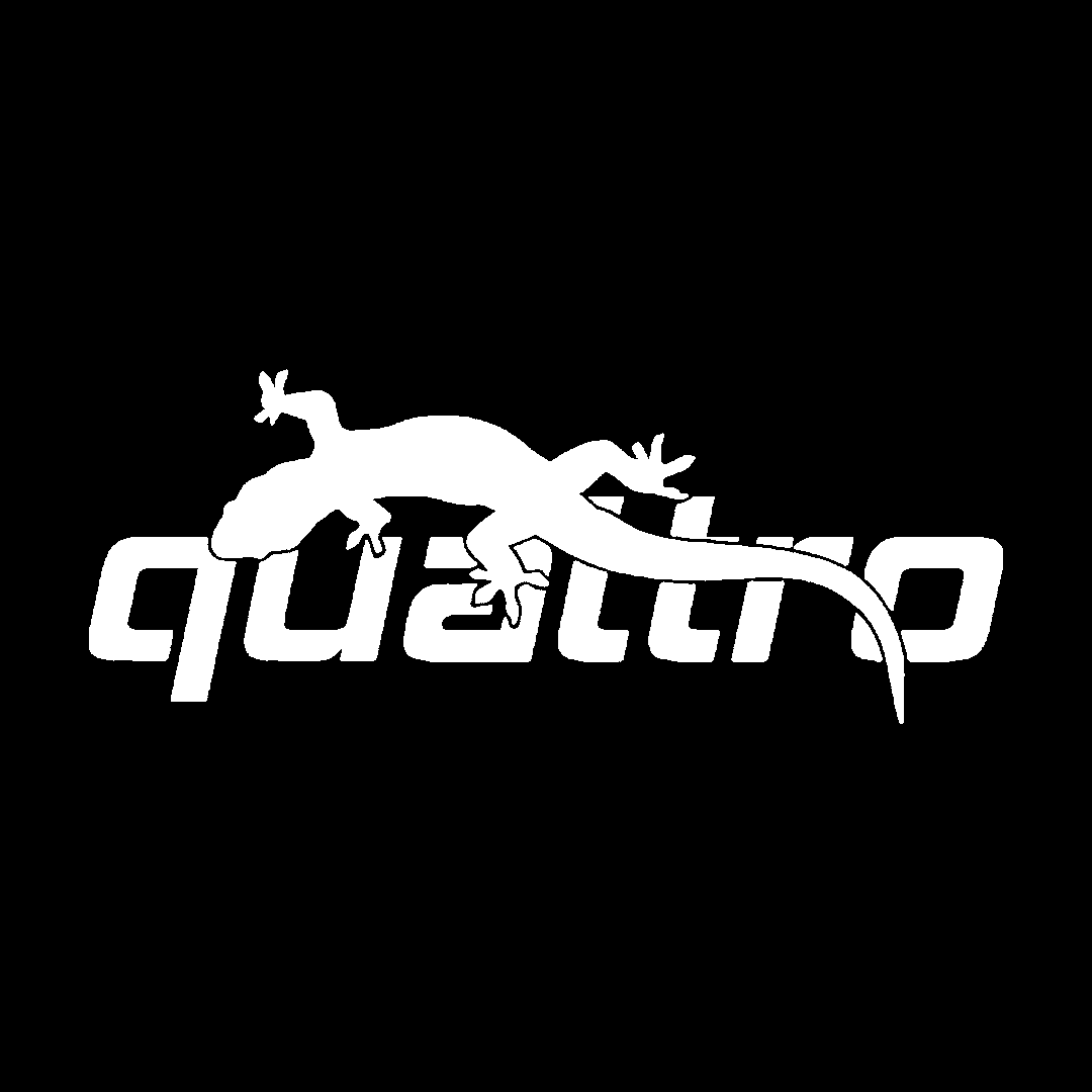 Sticker - AUDI QUATTRO 4
