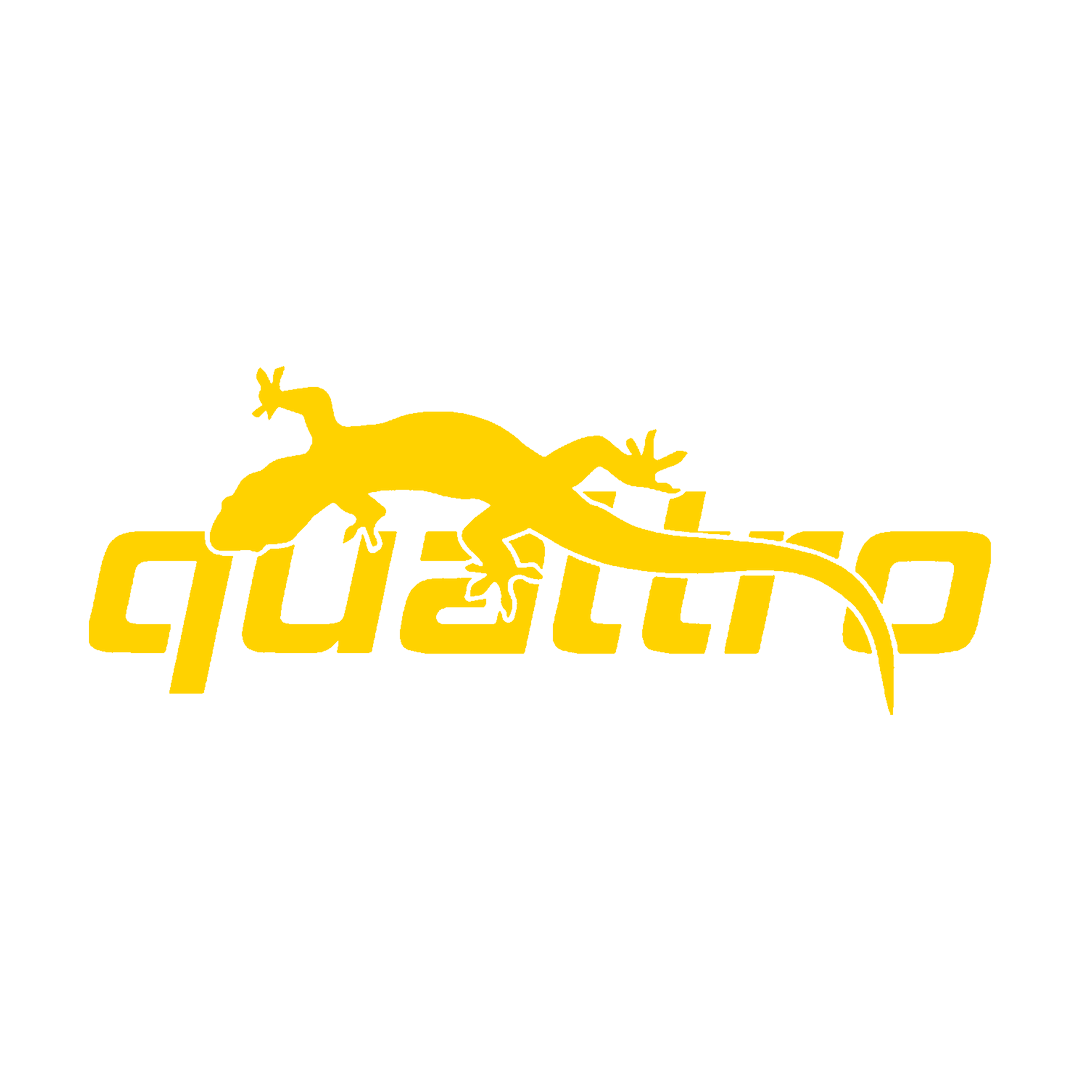 Sticker - AUDI QUATTRO 4
