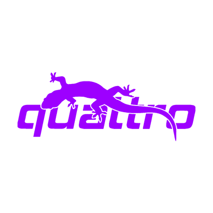 Sticker - AUDI QUATTRO 4