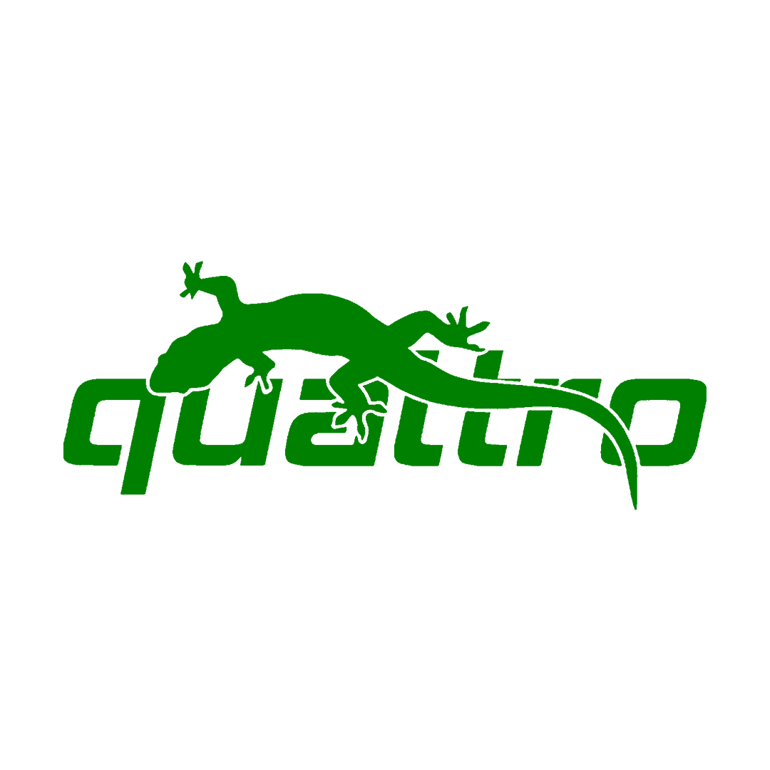 Sticker - AUDI QUATTRO 4