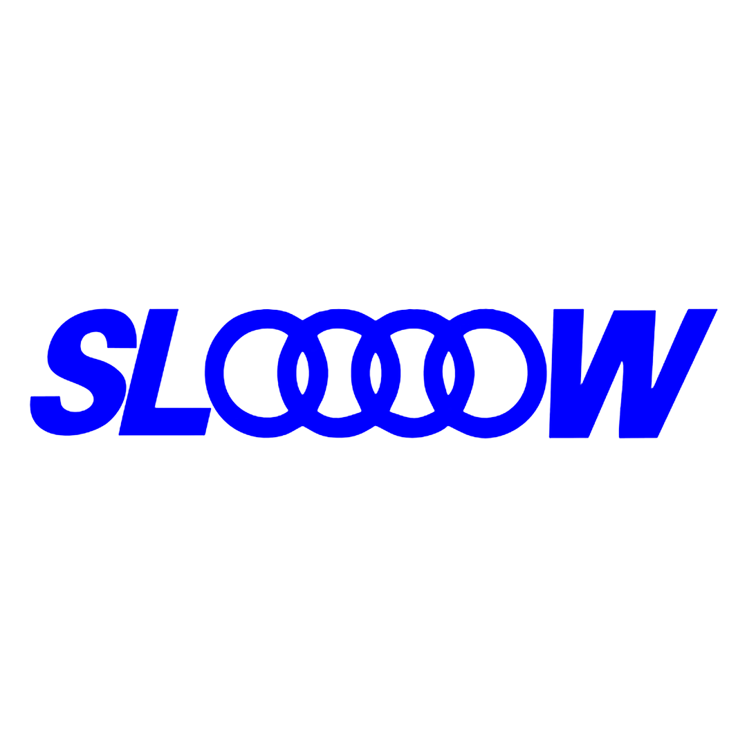 Sticker - AUDI SLOOOOW