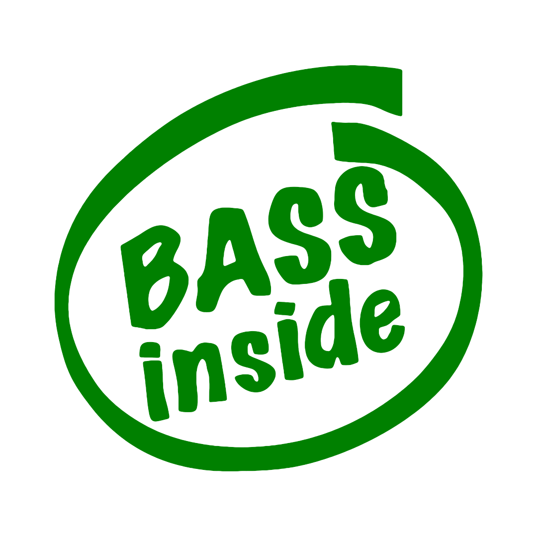 Sticker - BASS INSIDE