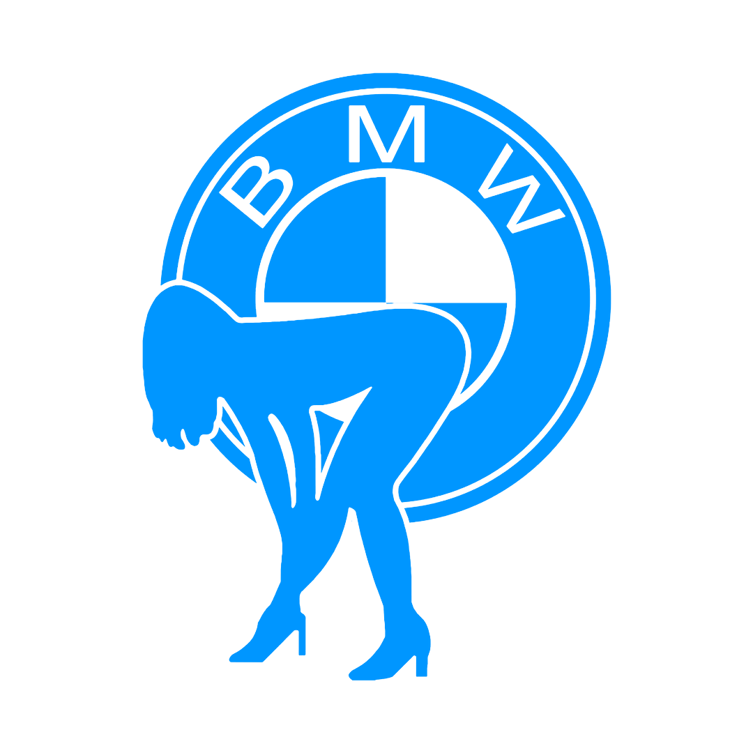 Sticker - BMW GIRL 2