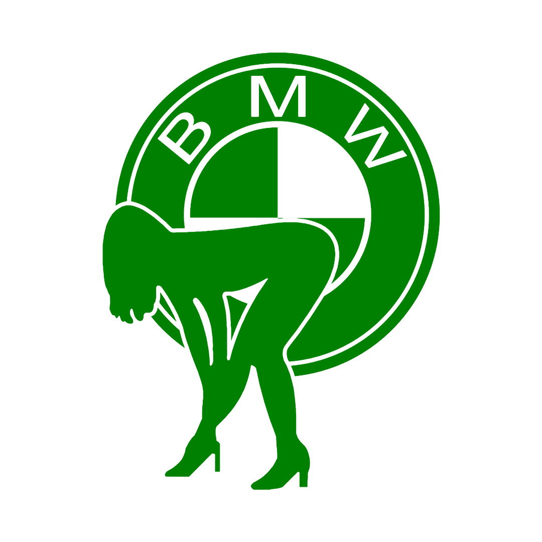 Sticker - BMW GIRL 2