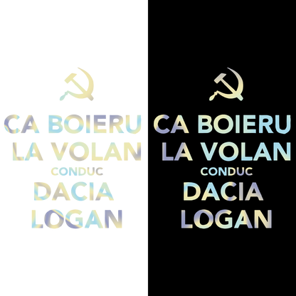 Sticker - CA BOIERU LA VOLAN