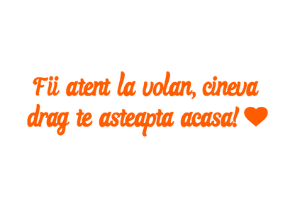 Sticker - FII ATENT LA VOLAN