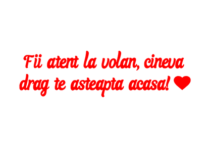 Sticker - FII ATENT LA VOLAN