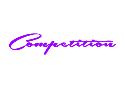 Sticker Parbriz - COMPETITION