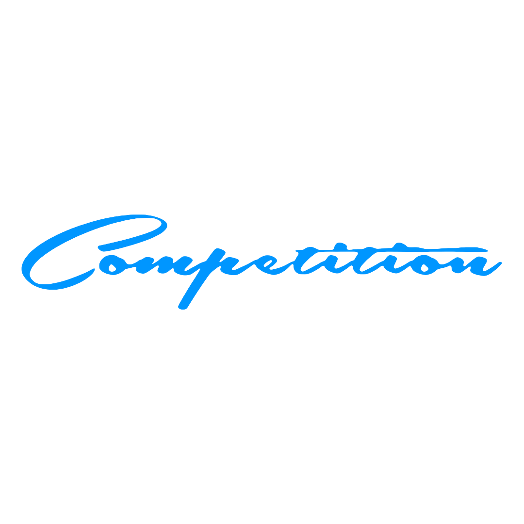 Sticker Parbriz - COMPETITION