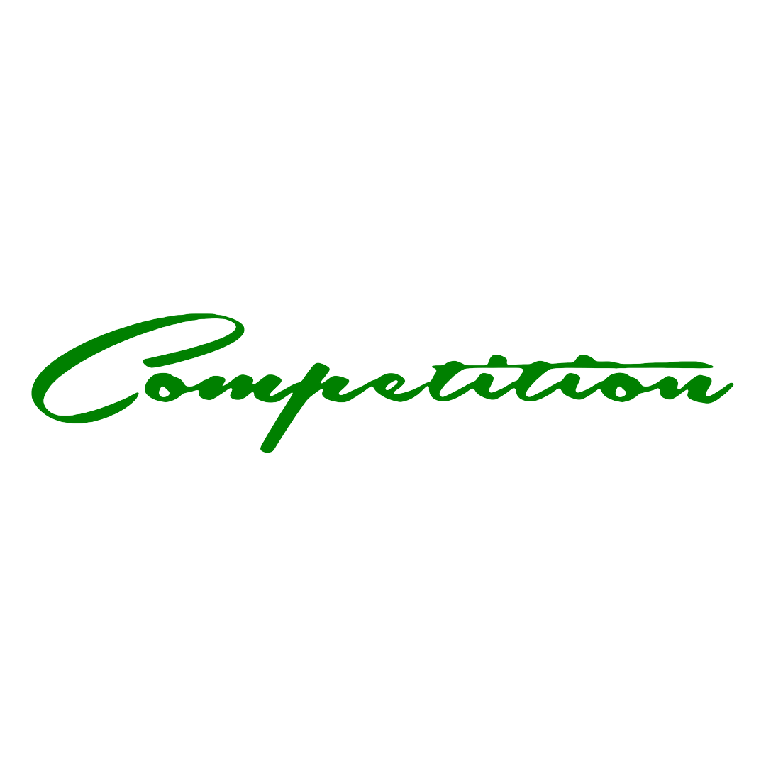 Sticker Parbriz - COMPETITION
