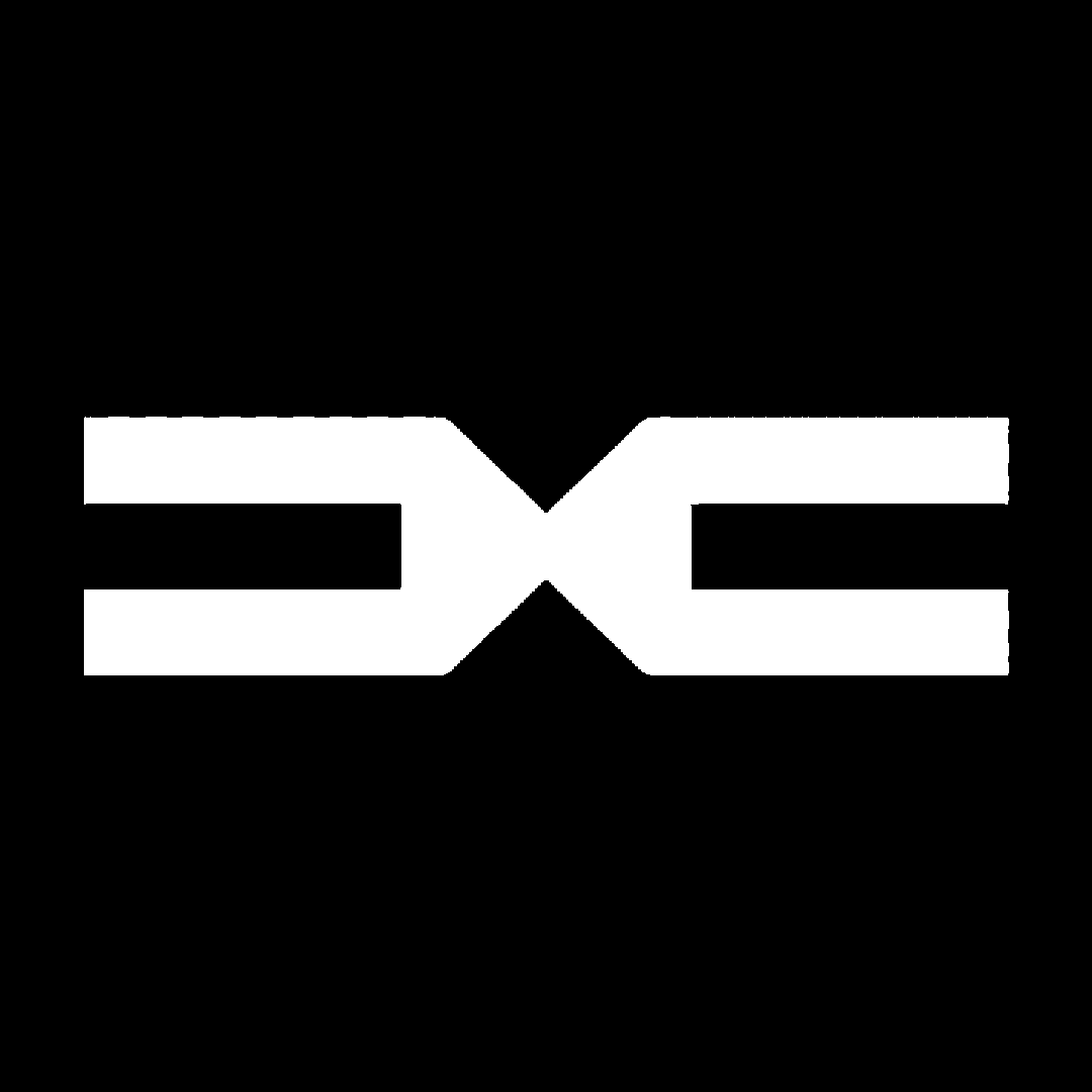 Sticker - DACIA NEW LOGO 2