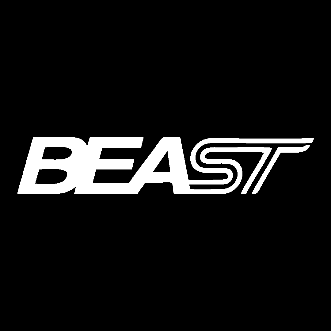 Sticker - FORD BEAST