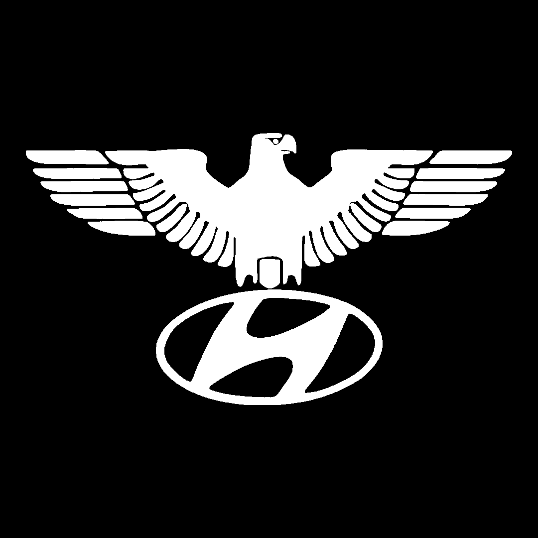 hyundai vultur - Alb