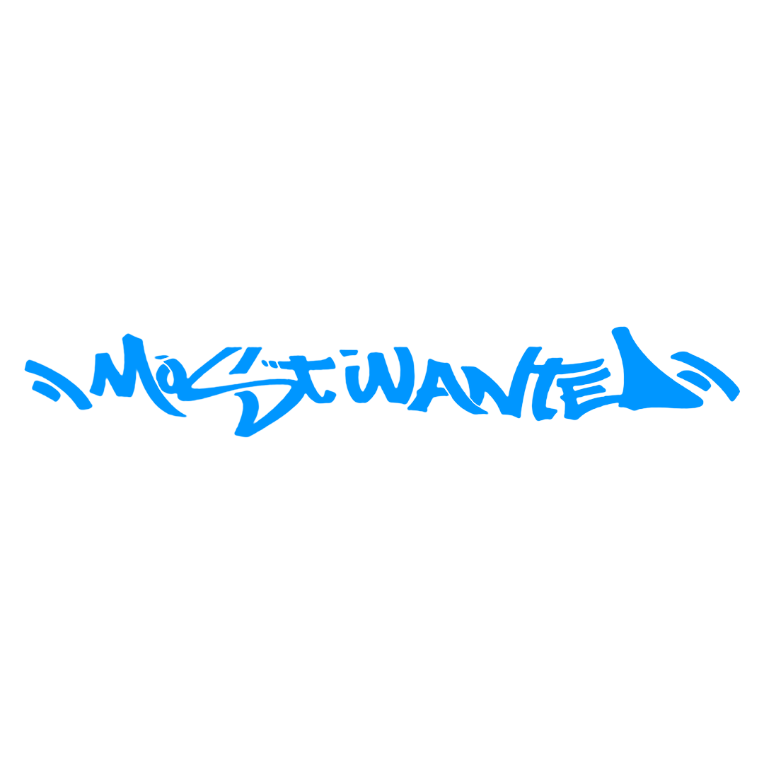 Sticker Parbriz - MOST WANTED