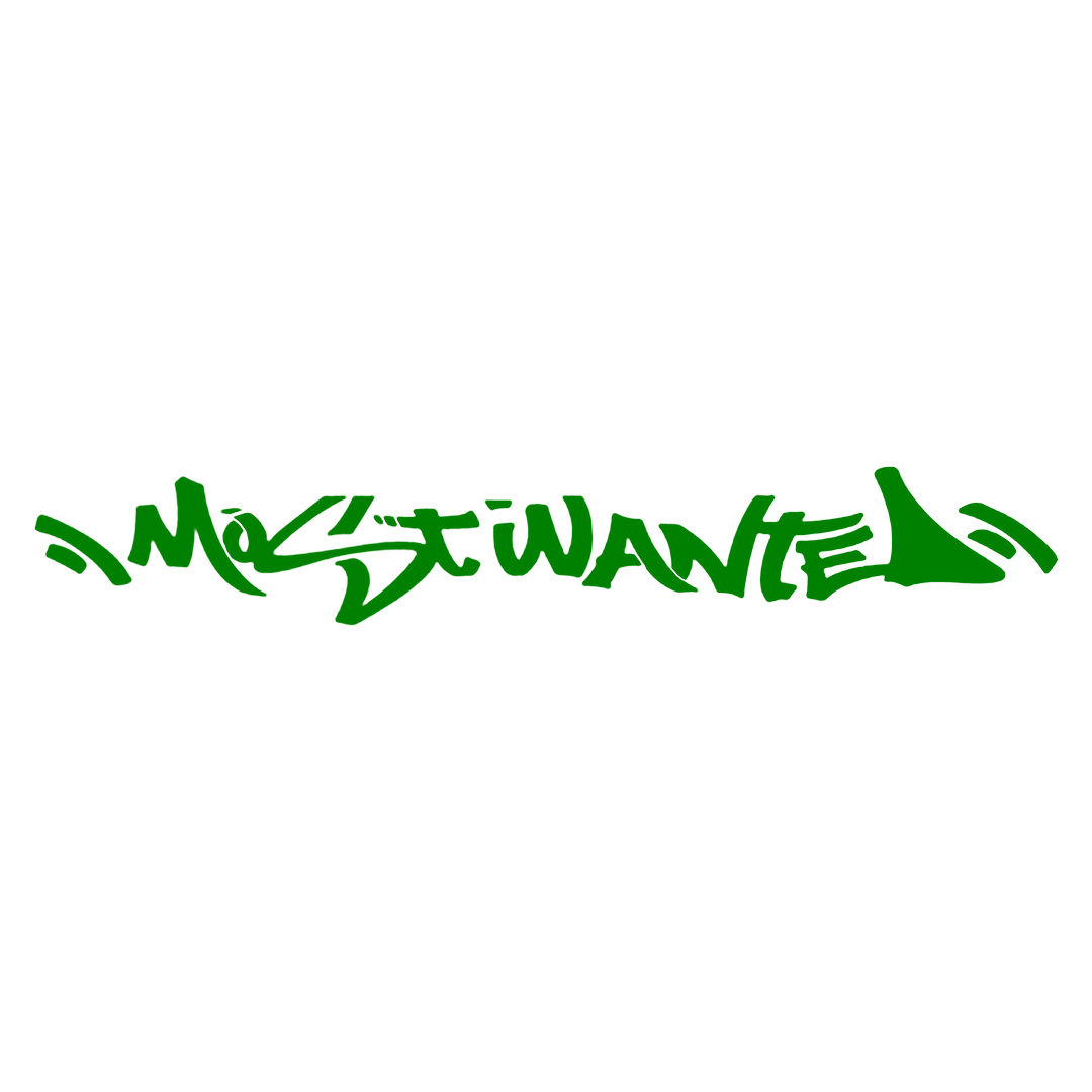 Sticker Parbriz - MOST WANTED