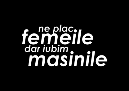 Sticker - NE PLAC FEMEILE DAR IUBIM MASINILE