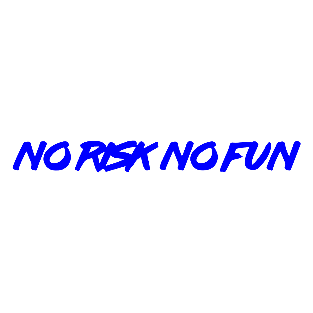 Sticker Parbriz - NO RISK NO FUN