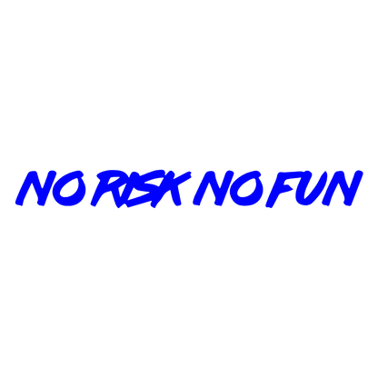 Sticker Parbriz - NO RISK NO FUN