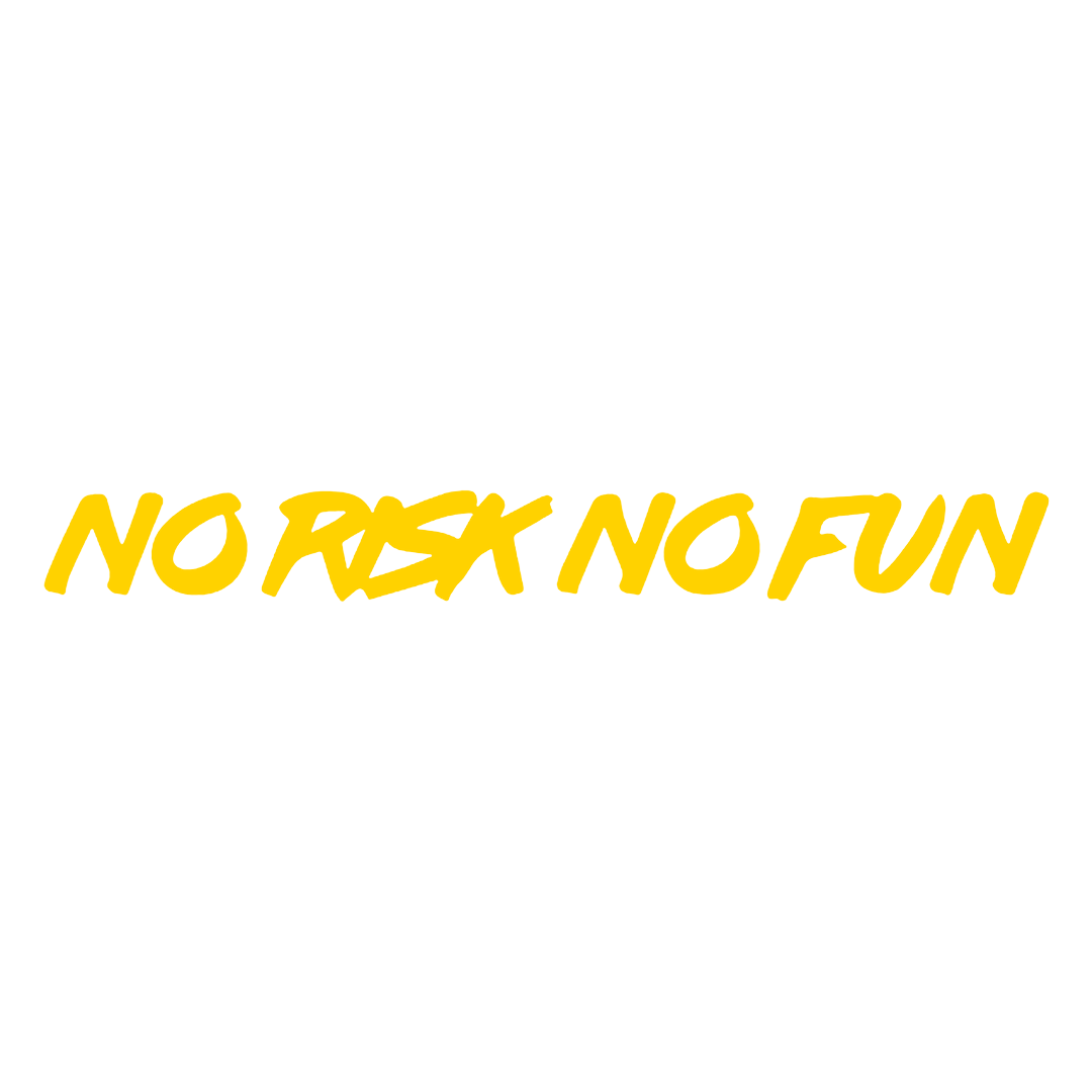 Sticker Parbriz - NO RISK NO FUN