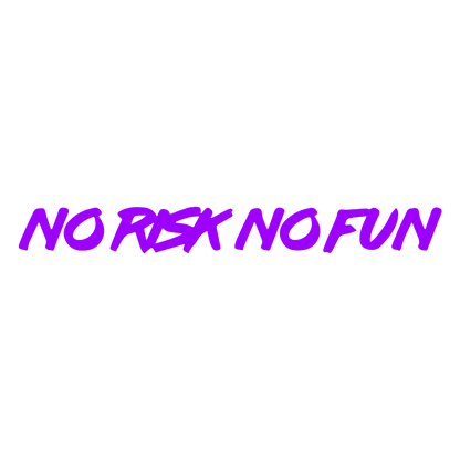 Sticker Parbriz - NO RISK NO FUN