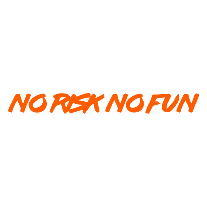 Sticker Parbriz - NO RISK NO FUN